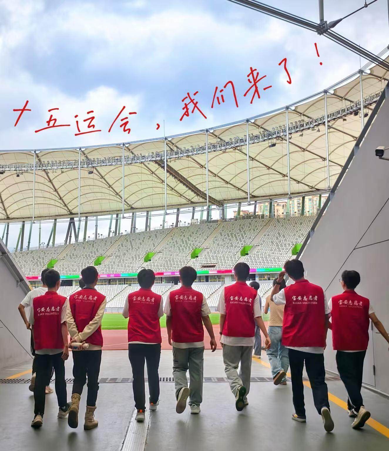 双模式, 十余个细分